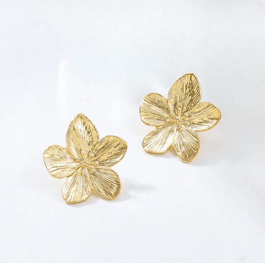 Boucle d'Oreilles Invidia