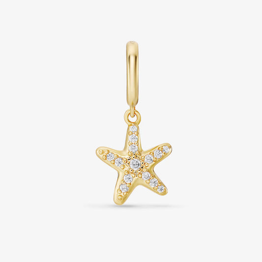 CHARM AVNA