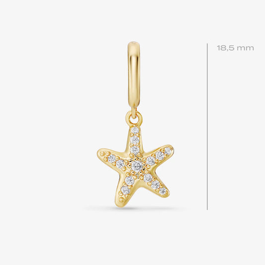 CHARM AVNA